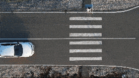 Car 360 Camera System